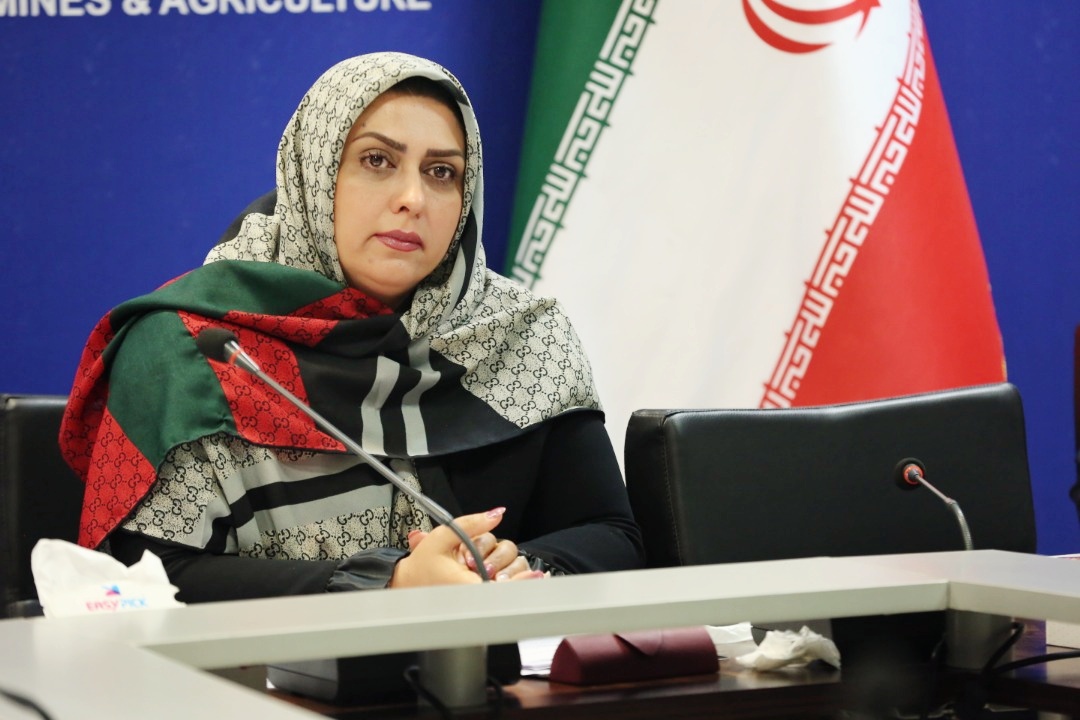 رئیس کمیسیون گردشگری اتاق بازرگانی البرز: حضور اقوام ایرانی 